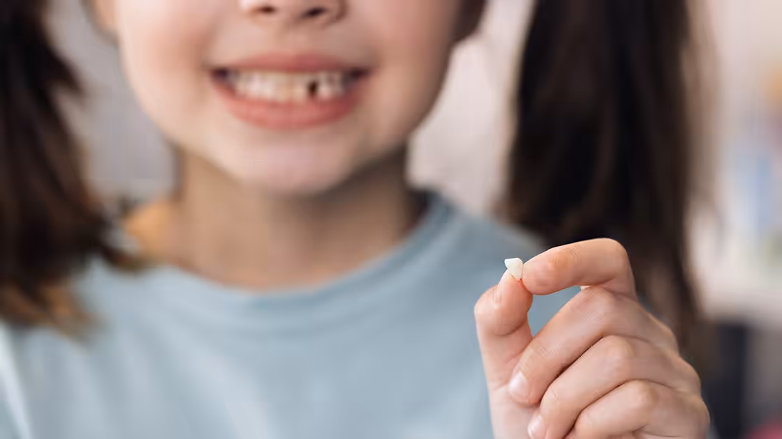 Tooth eruption patient holds baby tooth